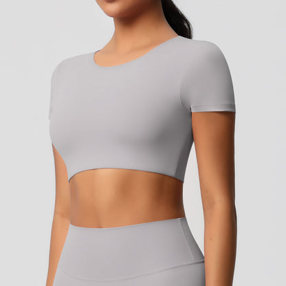 SOLBANA Studio Padded Crop Tee - alternate product view