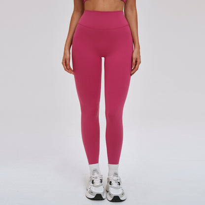 SOLBANA Studio High-Rise Legging in Wine